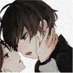 泡友 深夜追更选手 头像